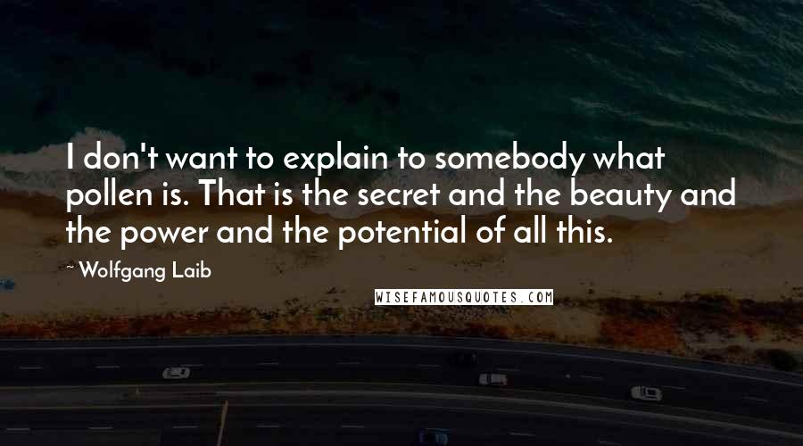 Wolfgang Laib Quotes: I don't want to explain to somebody what pollen is. That is the secret and the beauty and the power and the potential of all this.