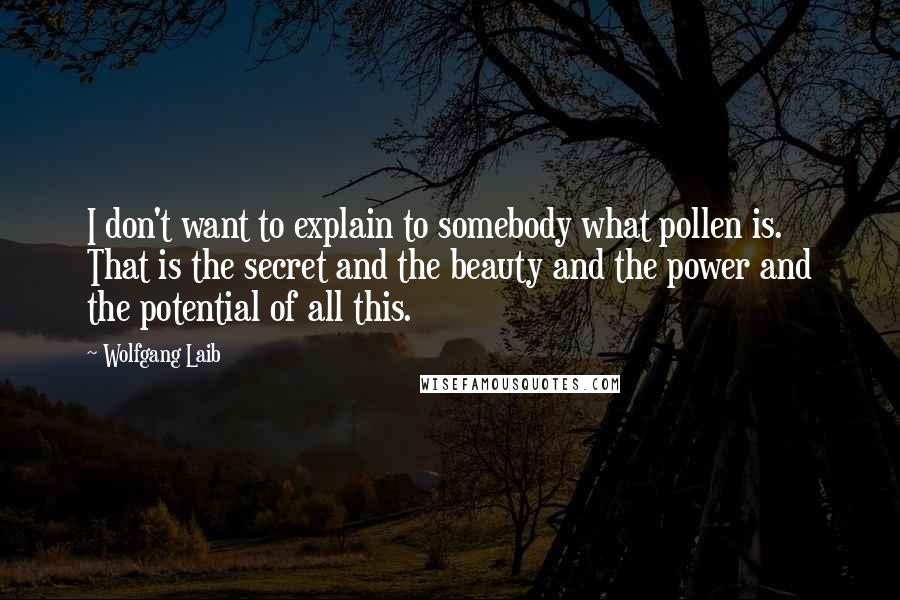 Wolfgang Laib Quotes: I don't want to explain to somebody what pollen is. That is the secret and the beauty and the power and the potential of all this.