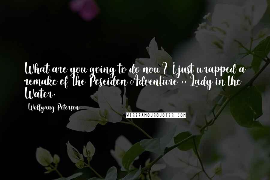 Wolfgang Petersen Quotes: What are you going to do now? I just wrapped a remake of The Poseidon Adventure .. Lady in the Water.