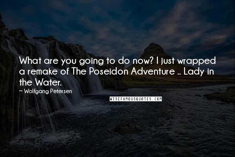 Wolfgang Petersen Quotes: What are you going to do now? I just wrapped a remake of The Poseidon Adventure .. Lady in the Water.