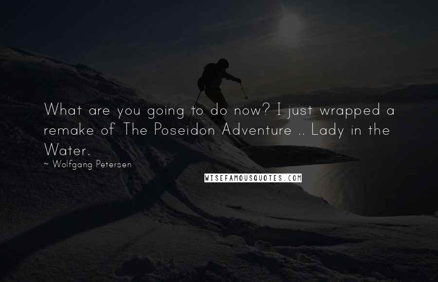 Wolfgang Petersen Quotes: What are you going to do now? I just wrapped a remake of The Poseidon Adventure .. Lady in the Water.