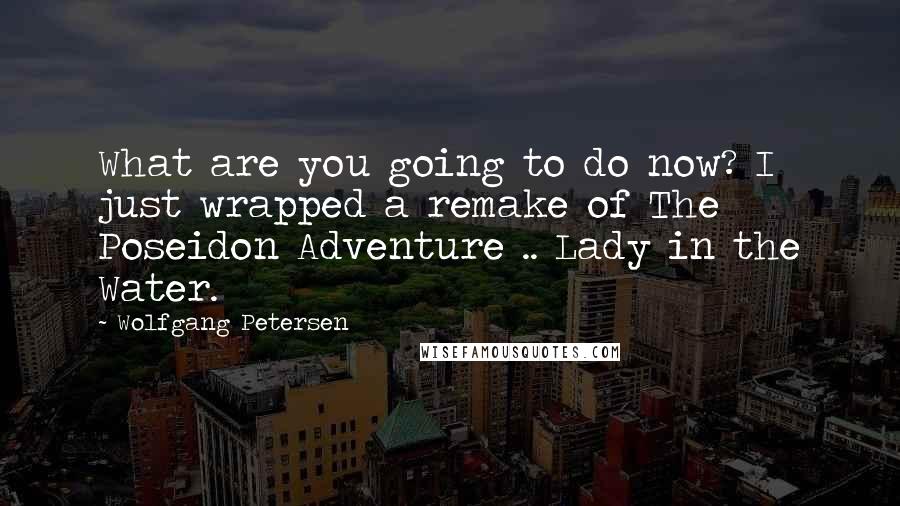 Wolfgang Petersen Quotes: What are you going to do now? I just wrapped a remake of The Poseidon Adventure .. Lady in the Water.