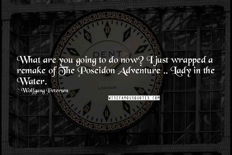 Wolfgang Petersen Quotes: What are you going to do now? I just wrapped a remake of The Poseidon Adventure .. Lady in the Water.