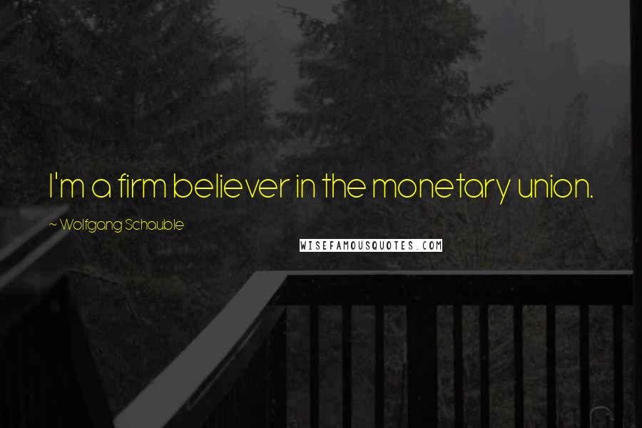 Wolfgang Schauble Quotes: I'm a firm believer in the monetary union.