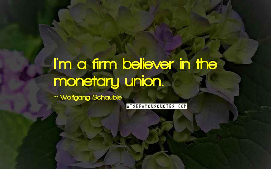 Wolfgang Schauble Quotes: I'm a firm believer in the monetary union.