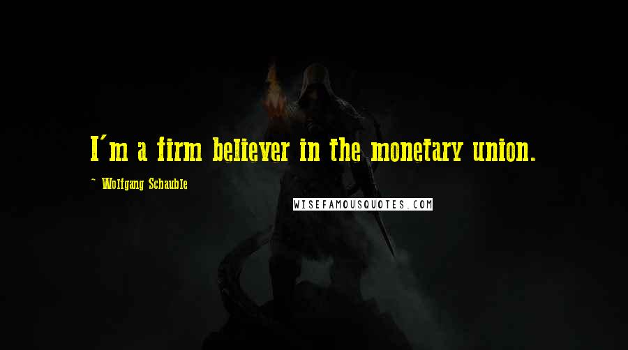 Wolfgang Schauble Quotes: I'm a firm believer in the monetary union.