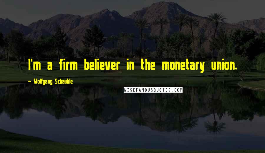 Wolfgang Schauble Quotes: I'm a firm believer in the monetary union.
