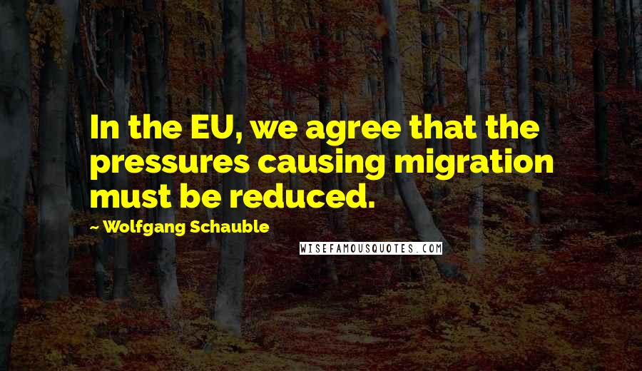 Wolfgang Schauble Quotes: In the EU, we agree that the pressures causing migration must be reduced.