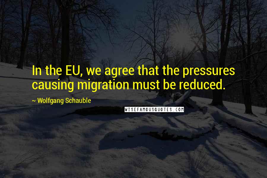 Wolfgang Schauble Quotes: In the EU, we agree that the pressures causing migration must be reduced.