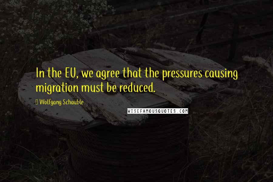 Wolfgang Schauble Quotes: In the EU, we agree that the pressures causing migration must be reduced.
