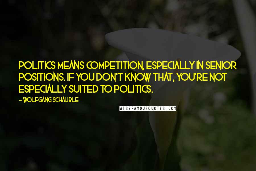 Wolfgang Schauble Quotes: Politics means competition, especially in senior positions. If you don't know that, you're not especially suited to politics.