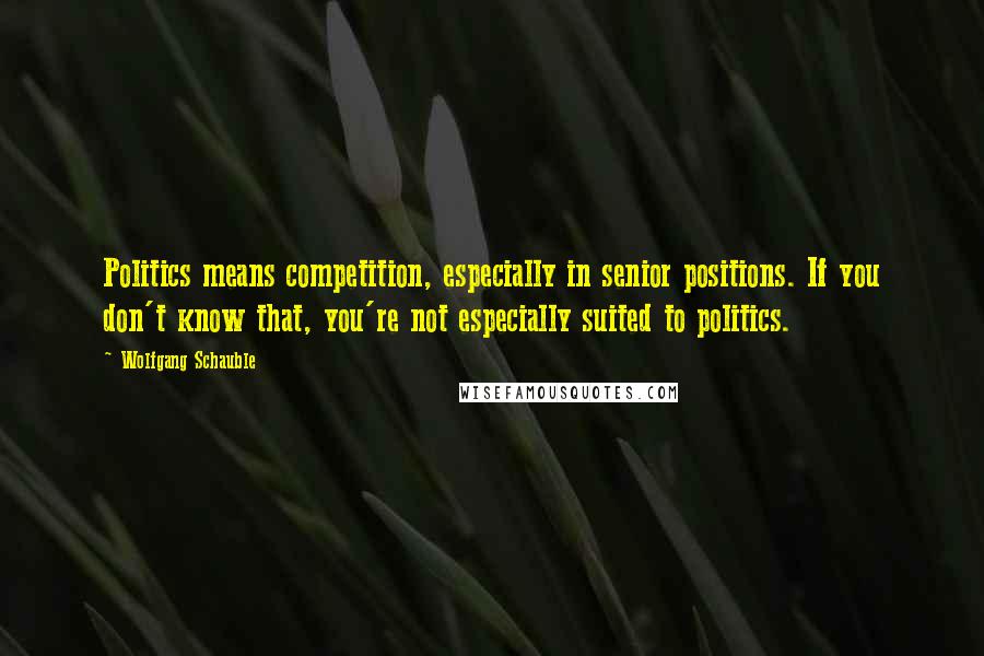 Wolfgang Schauble Quotes: Politics means competition, especially in senior positions. If you don't know that, you're not especially suited to politics.