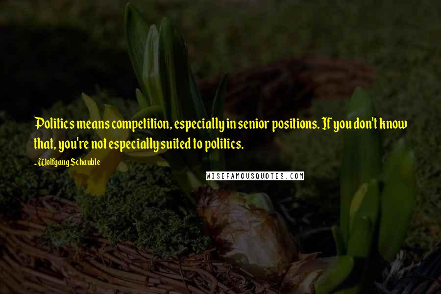 Wolfgang Schauble Quotes: Politics means competition, especially in senior positions. If you don't know that, you're not especially suited to politics.