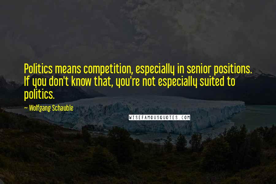 Wolfgang Schauble Quotes: Politics means competition, especially in senior positions. If you don't know that, you're not especially suited to politics.