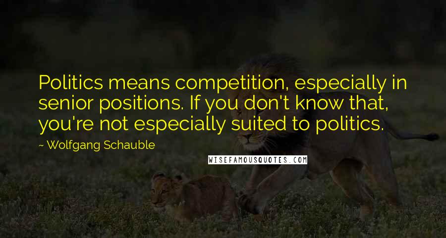 Wolfgang Schauble Quotes: Politics means competition, especially in senior positions. If you don't know that, you're not especially suited to politics.
