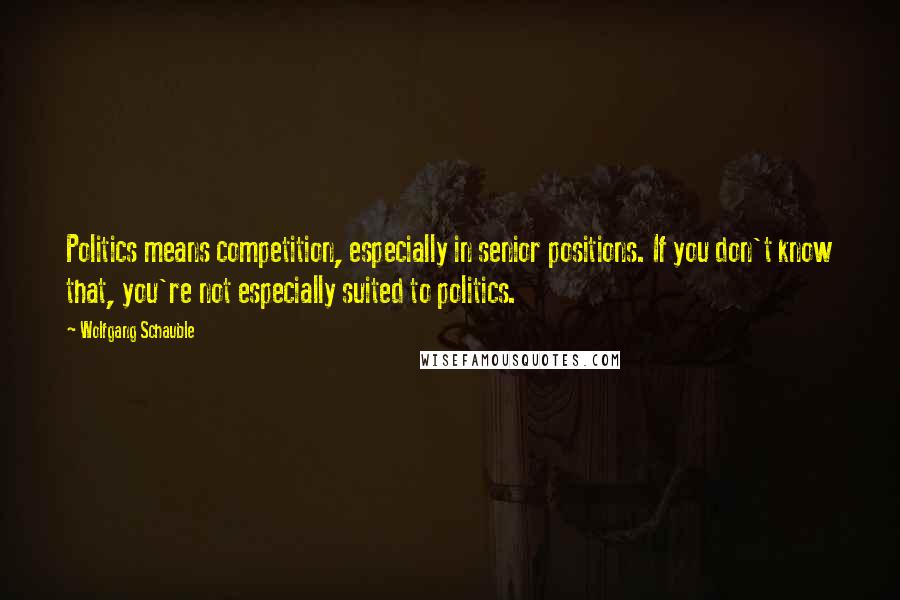 Wolfgang Schauble Quotes: Politics means competition, especially in senior positions. If you don't know that, you're not especially suited to politics.