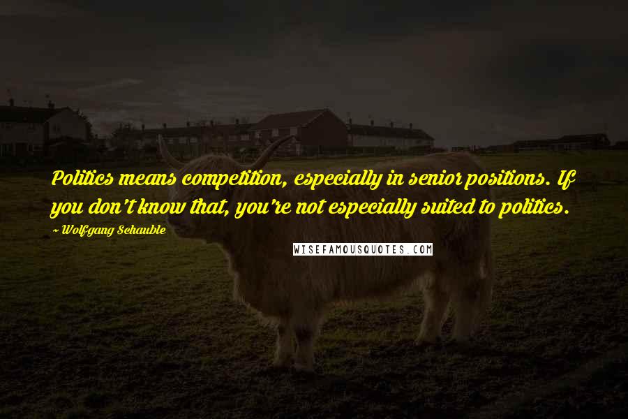 Wolfgang Schauble Quotes: Politics means competition, especially in senior positions. If you don't know that, you're not especially suited to politics.