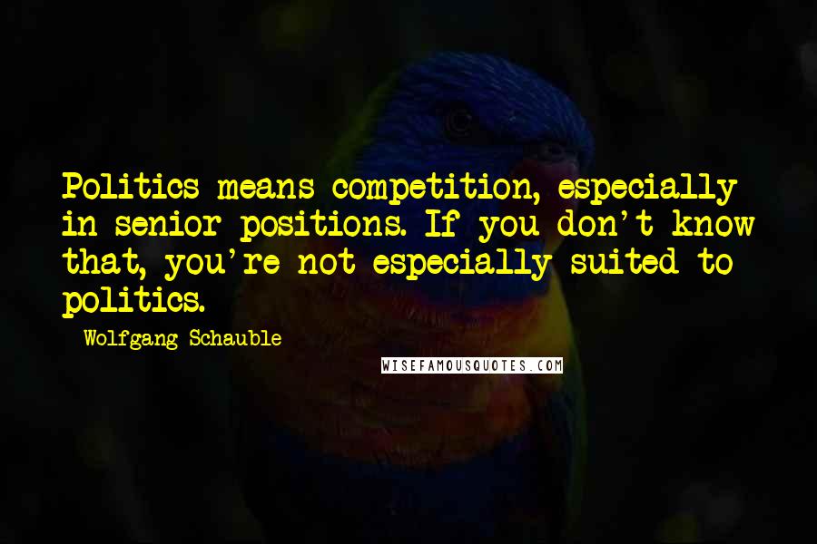 Wolfgang Schauble Quotes: Politics means competition, especially in senior positions. If you don't know that, you're not especially suited to politics.