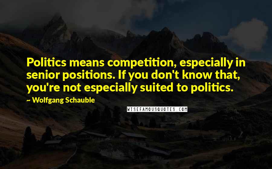 Wolfgang Schauble Quotes: Politics means competition, especially in senior positions. If you don't know that, you're not especially suited to politics.