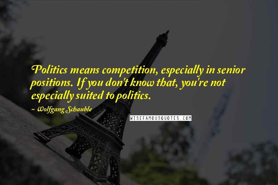 Wolfgang Schauble Quotes: Politics means competition, especially in senior positions. If you don't know that, you're not especially suited to politics.