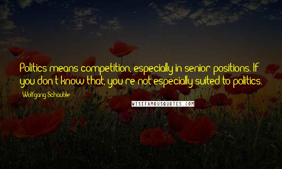 Wolfgang Schauble Quotes: Politics means competition, especially in senior positions. If you don't know that, you're not especially suited to politics.