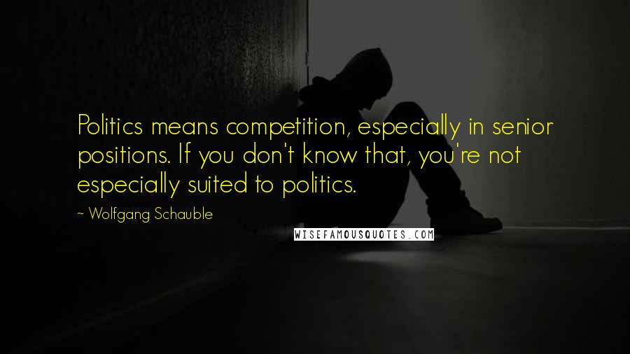 Wolfgang Schauble Quotes: Politics means competition, especially in senior positions. If you don't know that, you're not especially suited to politics.