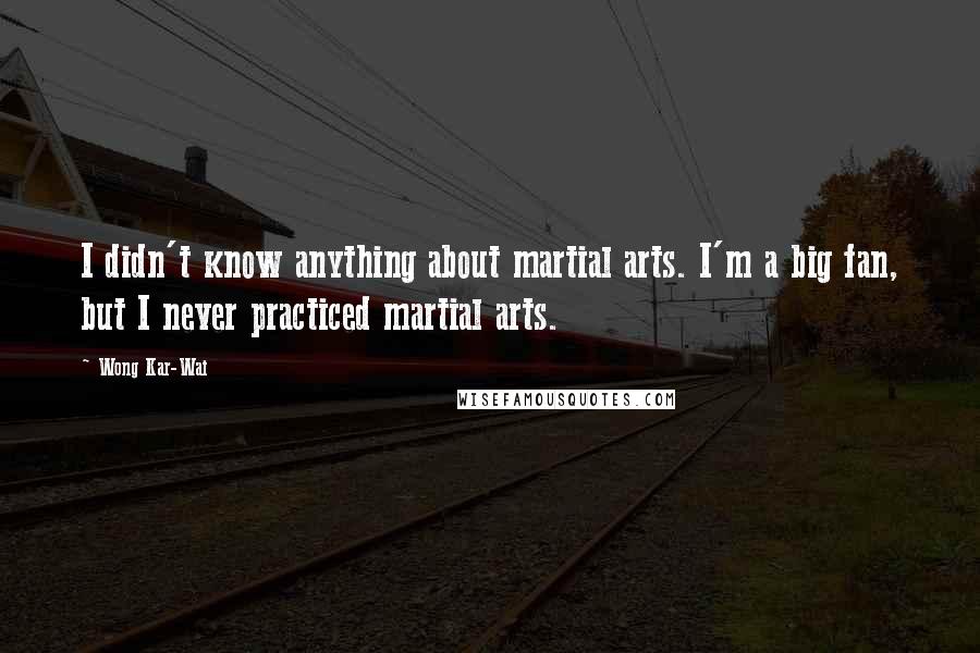 Wong Kar-Wai Quotes: I didn't know anything about martial arts. I'm a big fan, but I never practiced martial arts.