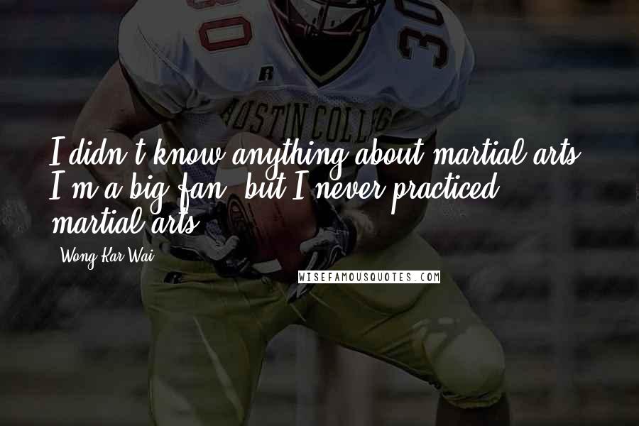 Wong Kar-Wai Quotes: I didn't know anything about martial arts. I'm a big fan, but I never practiced martial arts.