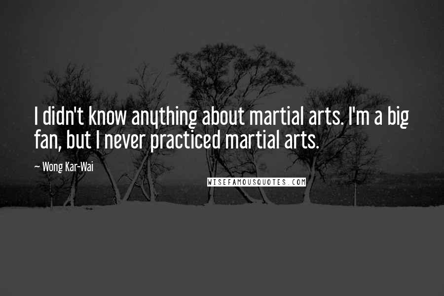 Wong Kar-Wai Quotes: I didn't know anything about martial arts. I'm a big fan, but I never practiced martial arts.