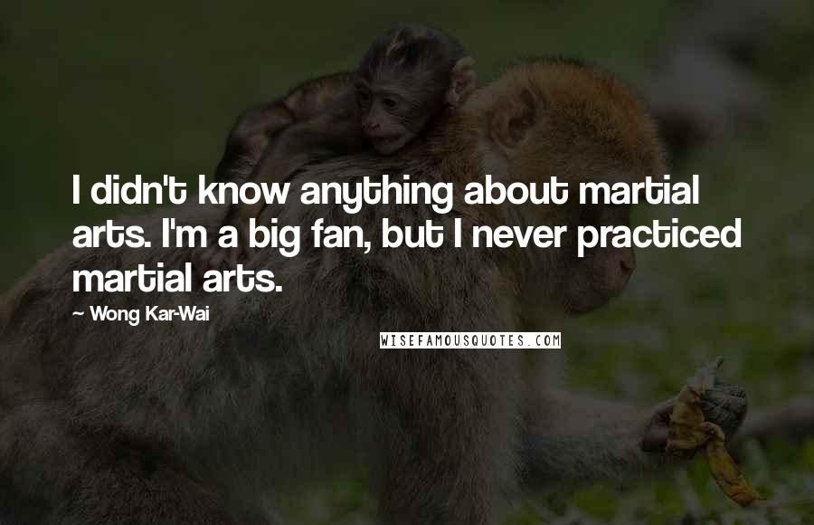 Wong Kar-Wai Quotes: I didn't know anything about martial arts. I'm a big fan, but I never practiced martial arts.