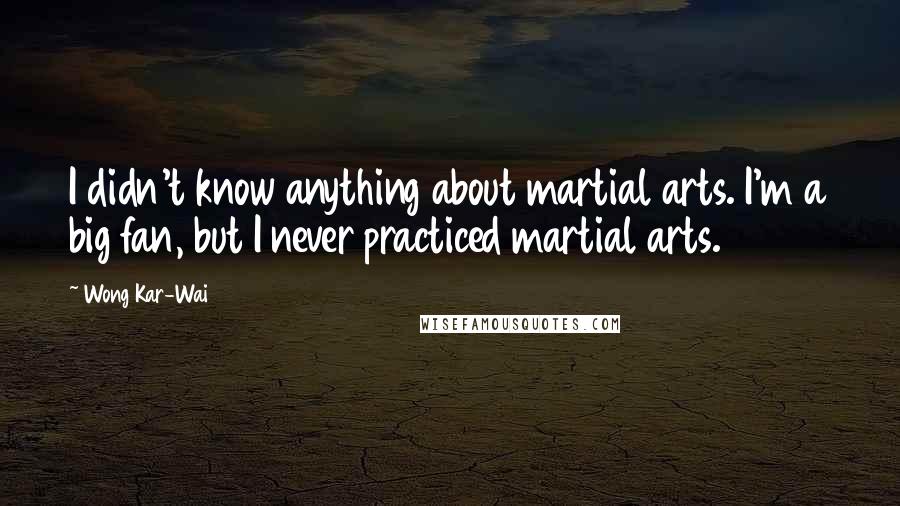 Wong Kar-Wai Quotes: I didn't know anything about martial arts. I'm a big fan, but I never practiced martial arts.