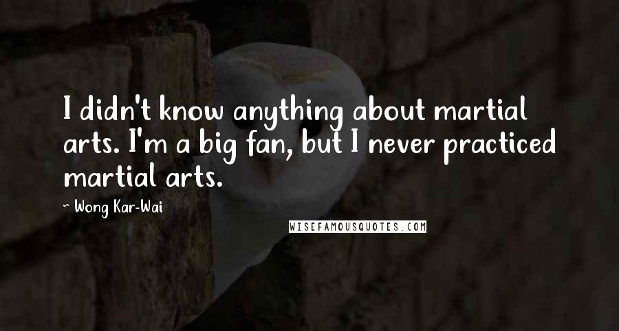 Wong Kar-Wai Quotes: I didn't know anything about martial arts. I'm a big fan, but I never practiced martial arts.