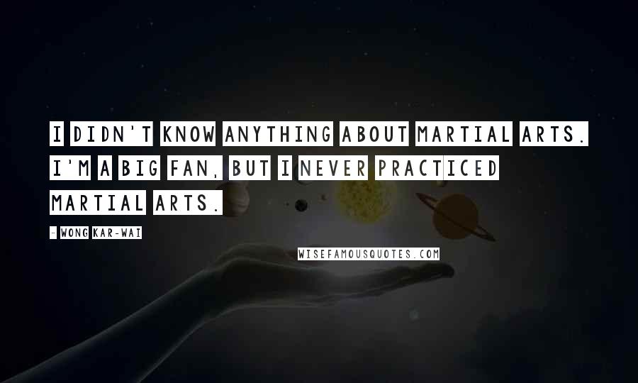 Wong Kar-Wai Quotes: I didn't know anything about martial arts. I'm a big fan, but I never practiced martial arts.