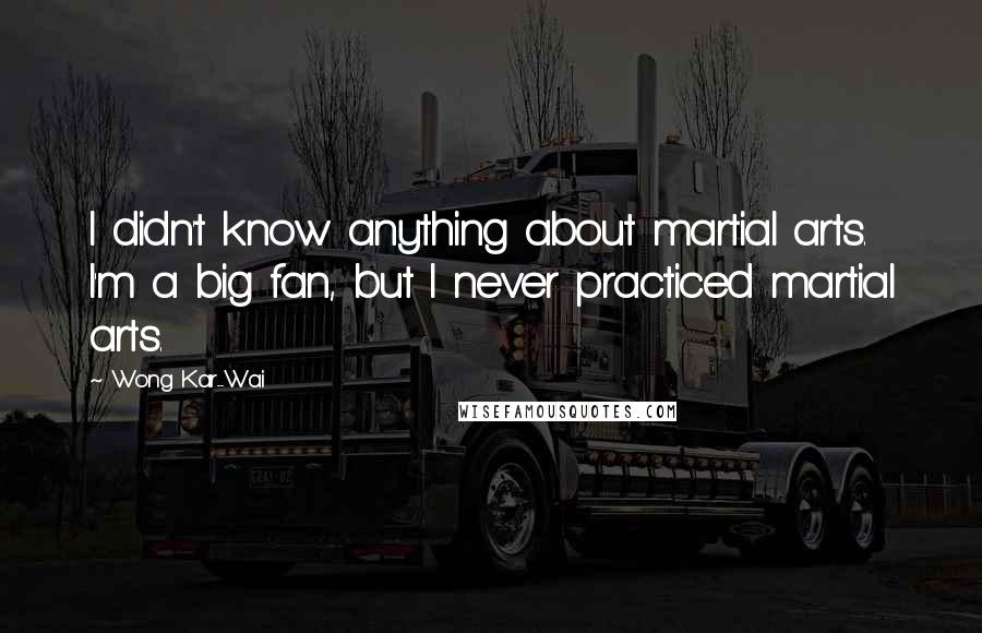 Wong Kar-Wai Quotes: I didn't know anything about martial arts. I'm a big fan, but I never practiced martial arts.