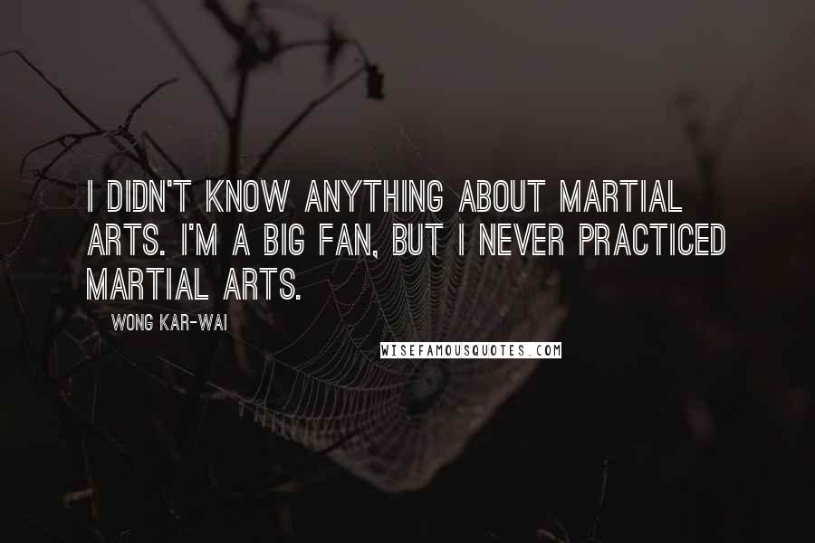 Wong Kar-Wai Quotes: I didn't know anything about martial arts. I'm a big fan, but I never practiced martial arts.