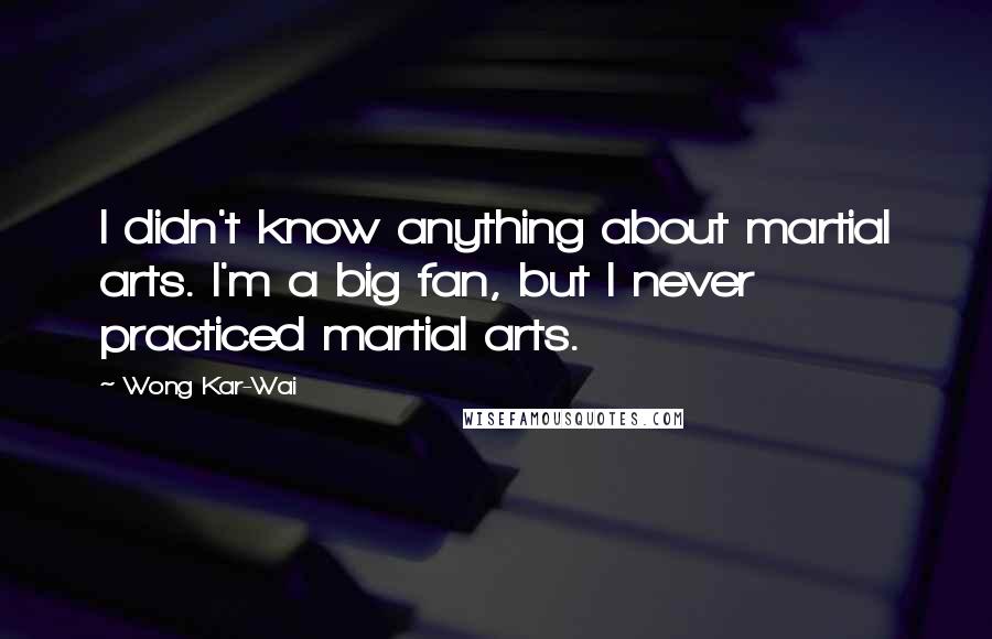 Wong Kar-Wai Quotes: I didn't know anything about martial arts. I'm a big fan, but I never practiced martial arts.