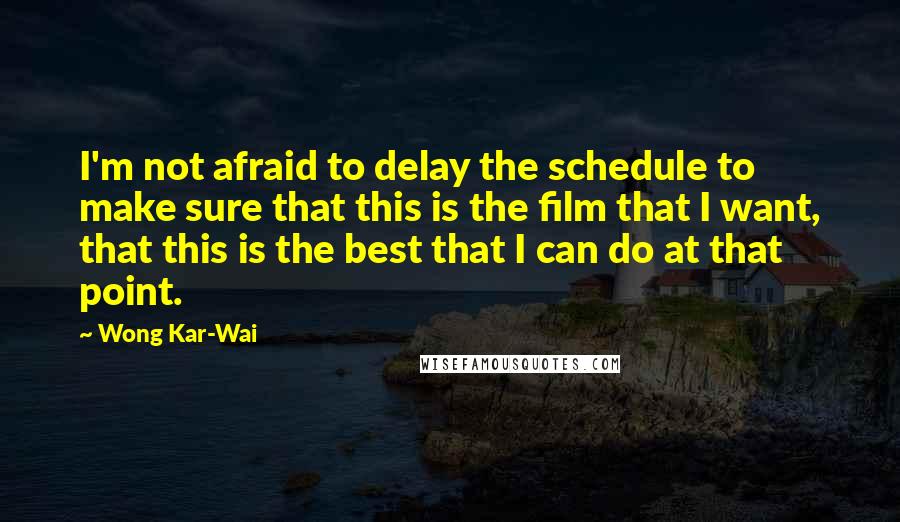 Wong Kar-Wai Quotes: I'm not afraid to delay the schedule to make sure that this is the film that I want, that this is the best that I can do at that point.