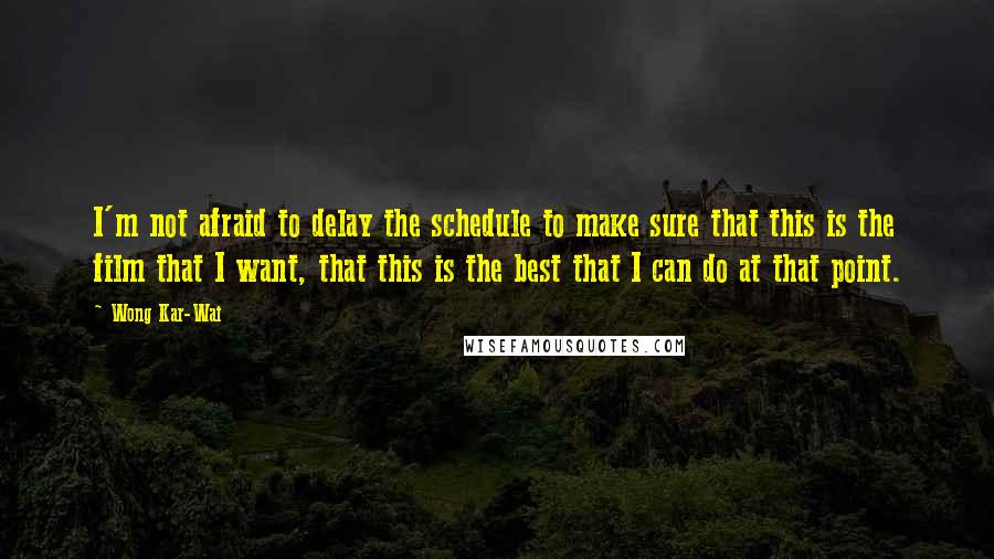 Wong Kar-Wai Quotes: I'm not afraid to delay the schedule to make sure that this is the film that I want, that this is the best that I can do at that point.