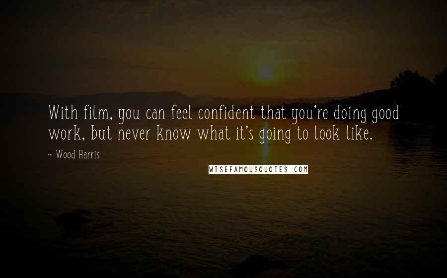 Wood Harris Quotes: With film, you can feel confident that you're doing good work, but never know what it's going to look like.