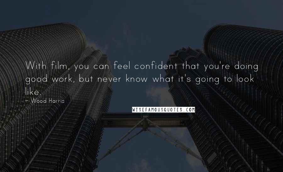 Wood Harris Quotes: With film, you can feel confident that you're doing good work, but never know what it's going to look like.