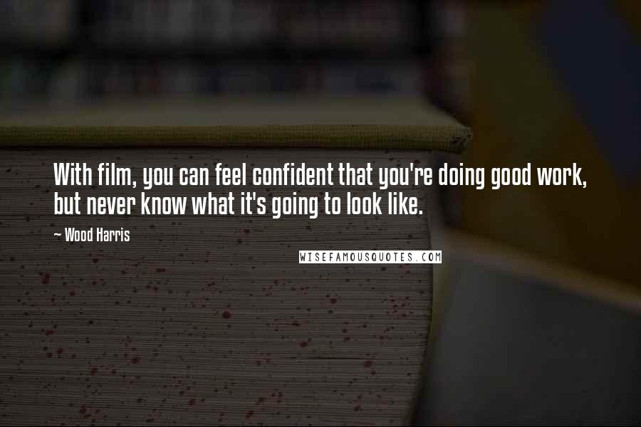 Wood Harris Quotes: With film, you can feel confident that you're doing good work, but never know what it's going to look like.