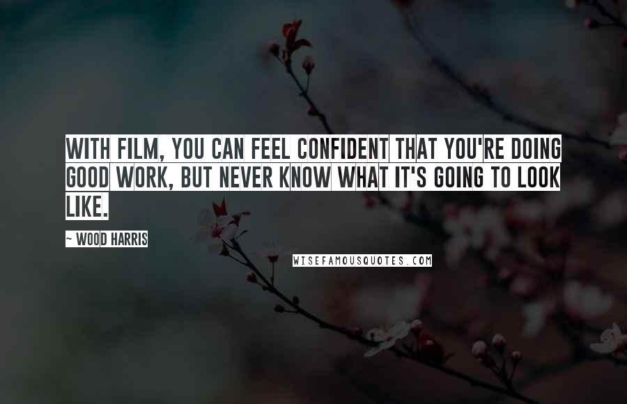 Wood Harris Quotes: With film, you can feel confident that you're doing good work, but never know what it's going to look like.