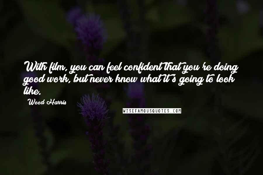 Wood Harris Quotes: With film, you can feel confident that you're doing good work, but never know what it's going to look like.