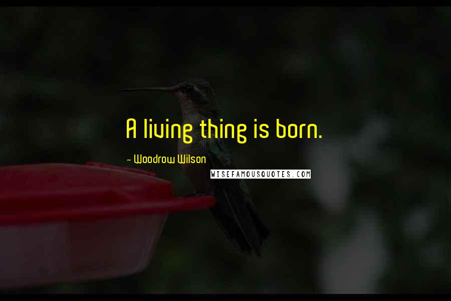 Woodrow Wilson Quotes: A living thing is born.