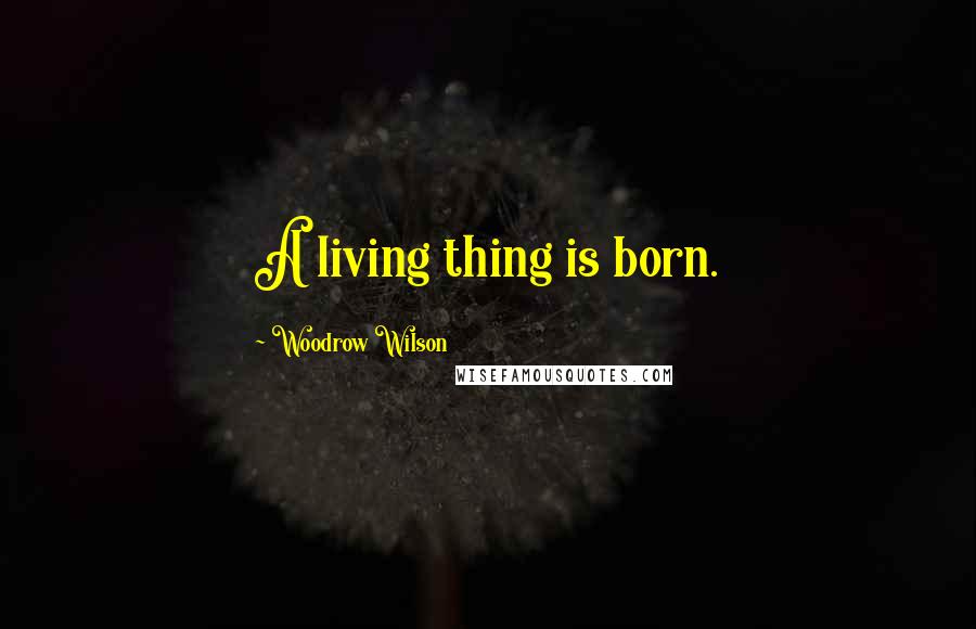 Woodrow Wilson Quotes: A living thing is born.