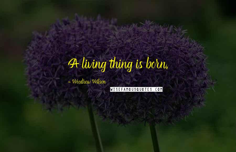 Woodrow Wilson Quotes: A living thing is born.