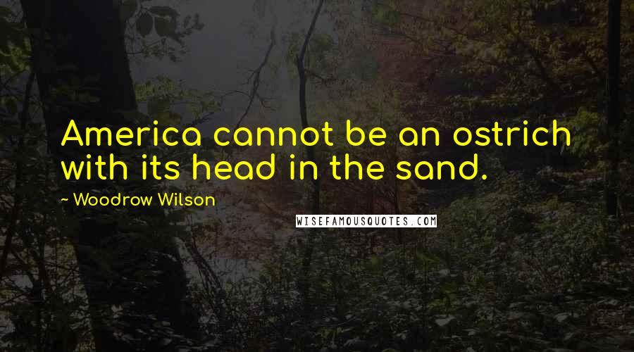 Woodrow Wilson Quotes: America cannot be an ostrich with its head in the sand.