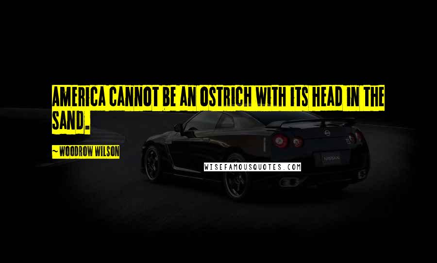 Woodrow Wilson Quotes: America cannot be an ostrich with its head in the sand.