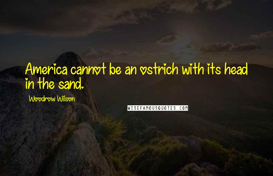 Woodrow Wilson Quotes: America cannot be an ostrich with its head in the sand.