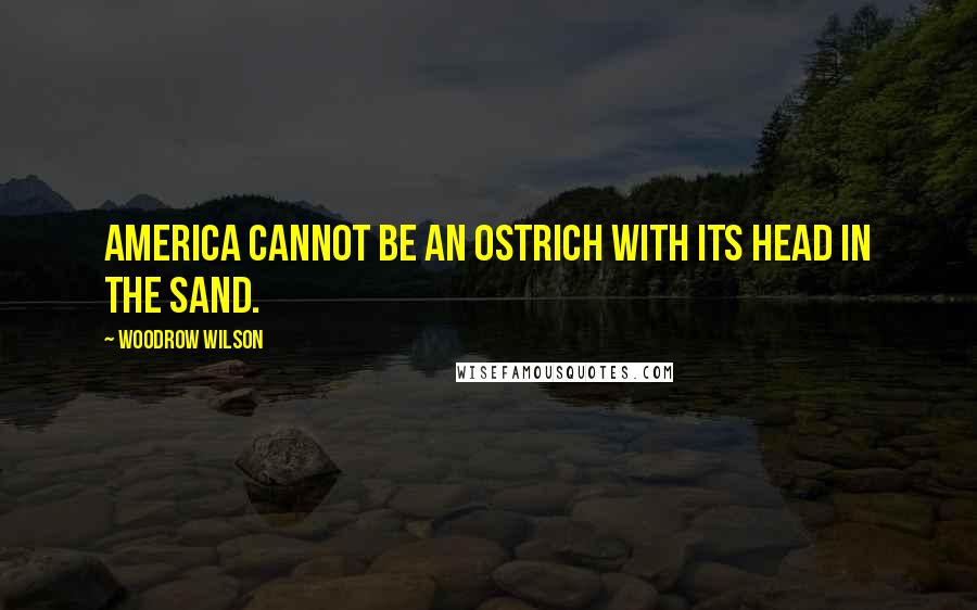 Woodrow Wilson Quotes: America cannot be an ostrich with its head in the sand.